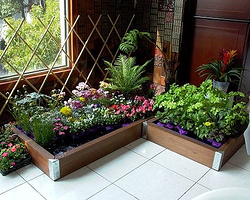 自己动手 DIY一个室内小花园