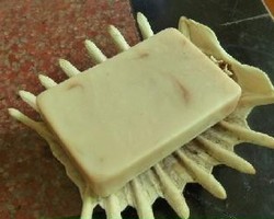 龟壳DIY的实用皂托—香皂盒创意
