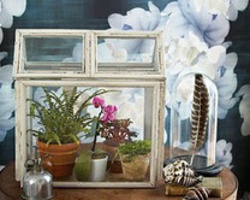 旧物利用—用旧相框做的室内花房