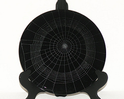 真实蜘蛛网玻璃装饰品 标本蜘蛛网图片