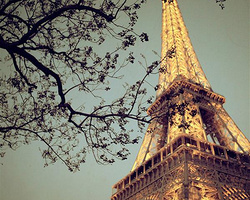 法国巴黎埃菲尔铁塔控 埃菲尔铁塔唯美图片大全