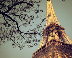 法国巴黎埃菲尔铁塔唯美图 亲爱的你也爱么