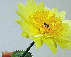 手工菊花的做法 纸艺雏菊幸福菊纸艺花卉的制作过程