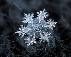 摄影师 Alexey Kljatov 精美绝伦的雪花微距摄影