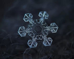 俄罗斯摄影师阿列克谢·柴耶托拍摄的微距雪花摄影作品