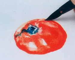 写生西红柿的画法水彩画入门教程步骤