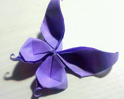 手工折纸蝴蝶大全图解 美丽的凤尾蝶折法教程