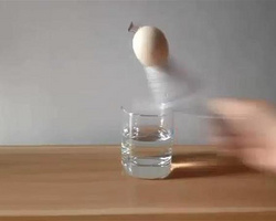 小学生可以做的实验 鸡蛋跳水—王颢老师作品