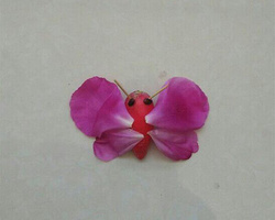 教你用红萝卜制作可爱的儿童小创作红蝴蝶详细步骤
