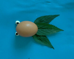 趣味儿童手工DIY鸡蛋拼贴画之可爱的小金鱼