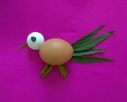 简单的小制作鸡蛋拼贴画之漂亮的小鸟制作图解