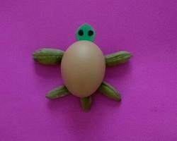 趣味幼儿手工鸡蛋拼贴画 用鸡蛋制作可爱的小乌龟