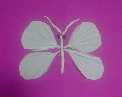 简单的幼儿DIY拼贴画之美丽的白蝴蝶制作步骤