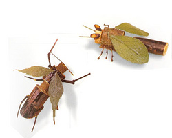 运用小木块制作的可爱的昆虫小玩具作品图片欣赏