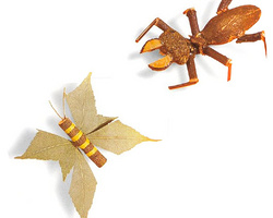创意DIY漂亮有趣的木制昆虫小玩具图片欣赏