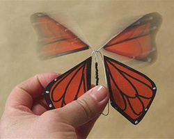 用铁丝手工制作可以飞的漂亮小蝴蝶