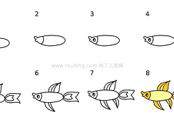 简单漂亮儿童水下动物儿童画图片 怎么画热带鱼的画法