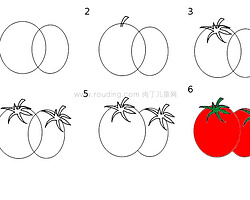 幼儿蔬菜简笔画图片 怎么画西红柿的画法图解教程