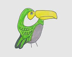 巨嘴鸟的画法大全 儿童动物简笔画绘画步骤图解教程