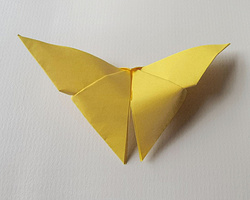 简单易学的折纸方法 小蝴蝶的折法方法与步骤