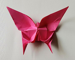 儿童简单的手工折纸 小蝴蝶折法详细步骤