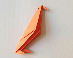 学折纸大全又简单又漂亮 小啄木鸟一步一步折纸详细教程