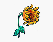 花草类简笔画图片大全之向日葵的画法