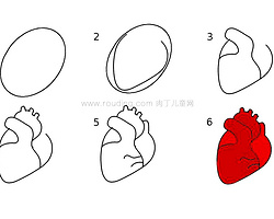 儿童人体器官 简笔画心脏画法图解教程