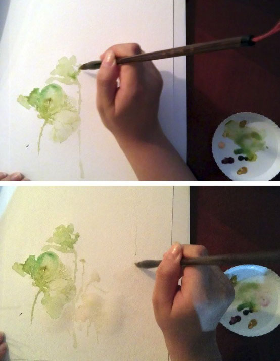 水彩画插图教程 用水彩DIY睡莲的详细图解