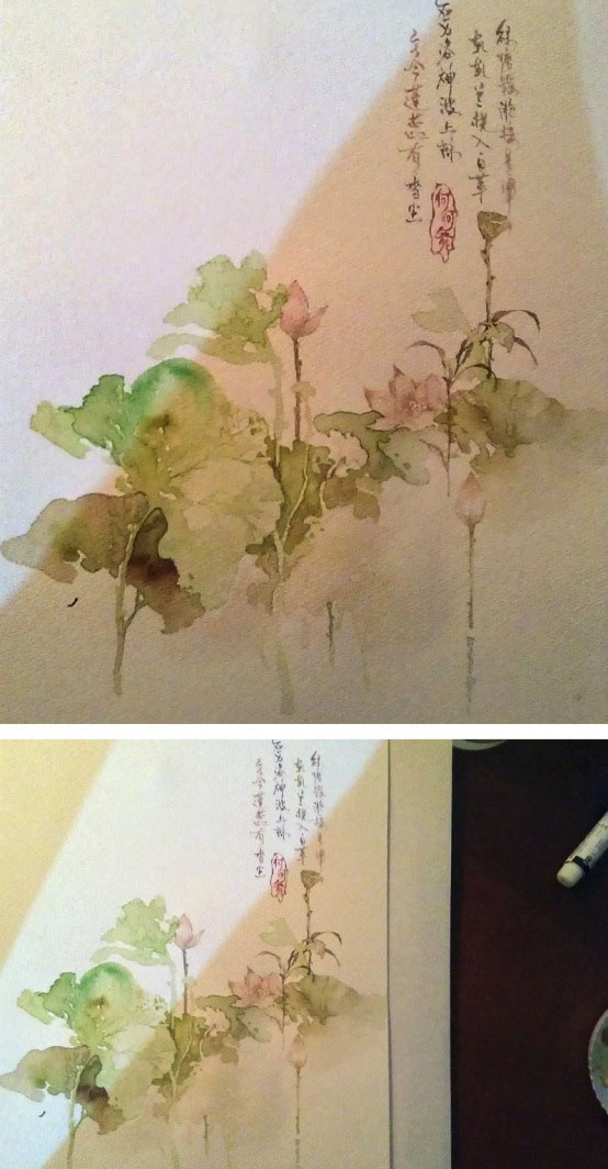 水彩画插图教程 用水彩DIY睡莲的详细图解