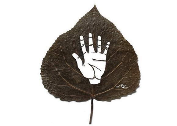 西班牙艺术家利用树叶制作的微雕艺术装饰画