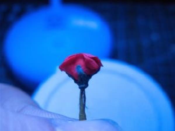 美丽可爱迷你超轻粘土小玫瑰花的详细做法