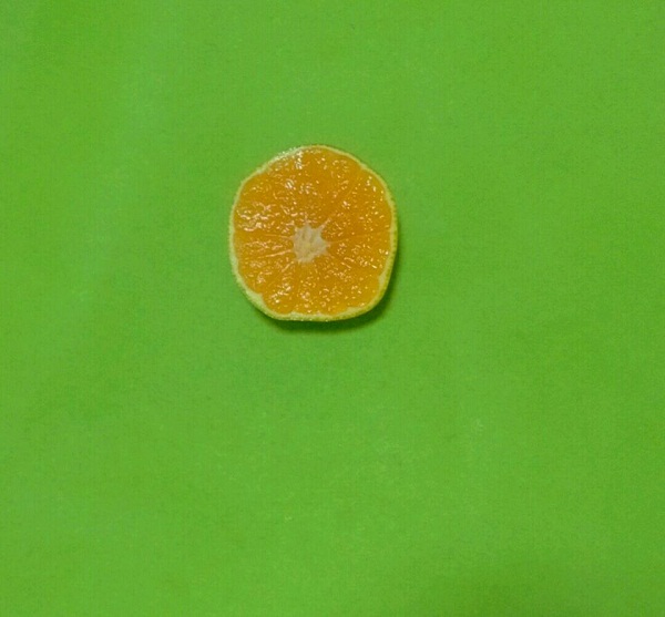 教你用水果制作有趣的儿童拼贴画 会跳舞的橘子