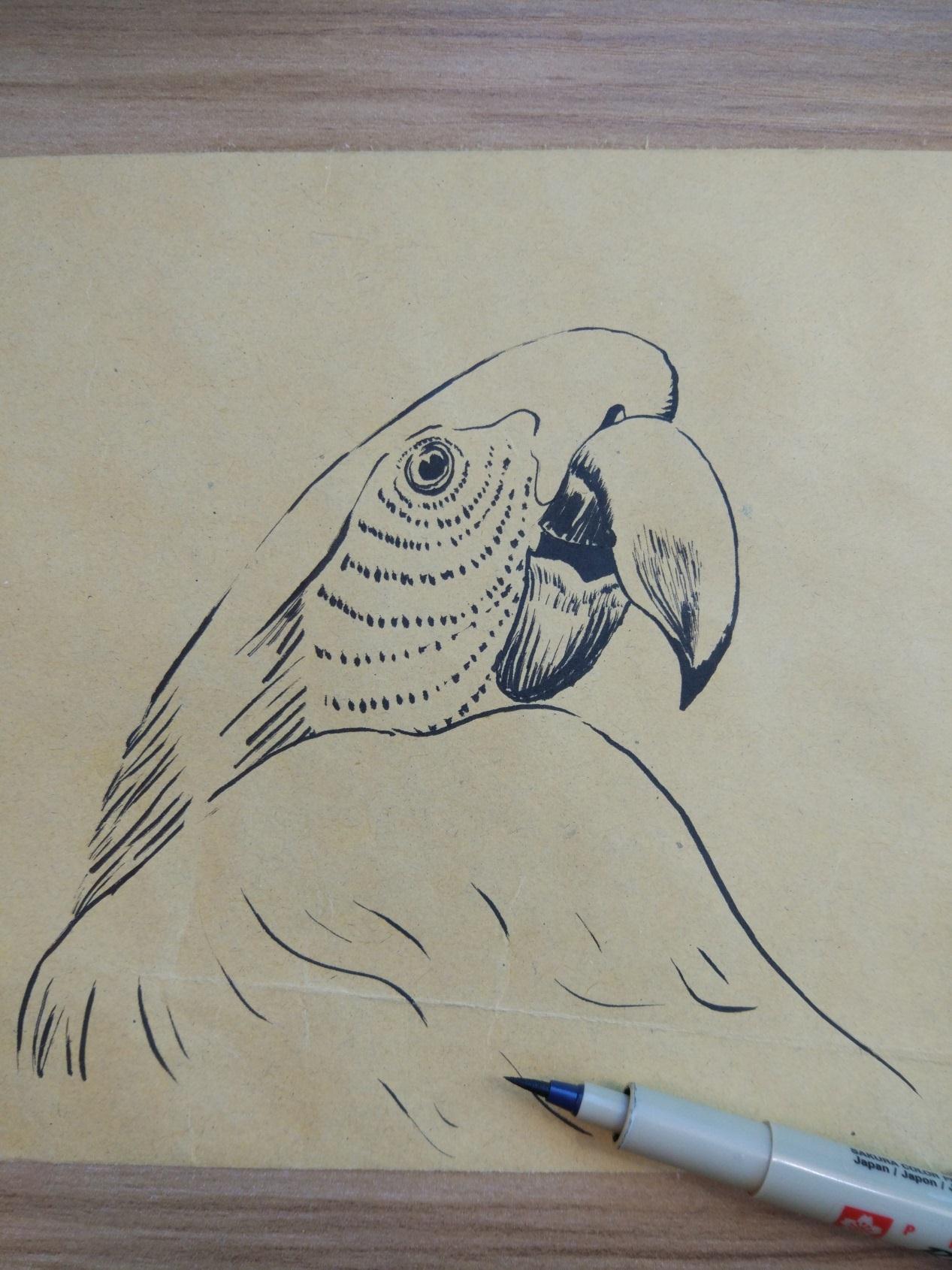 原创DIY漂亮的彩绘作品之可爱的小鹦鹉步骤图
