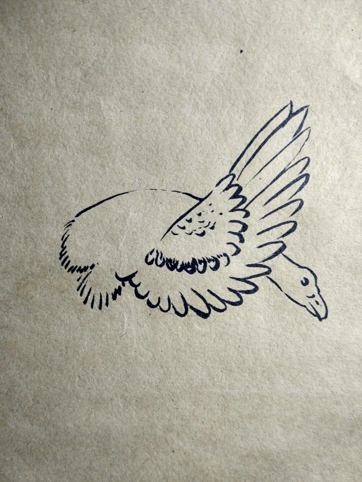 文艺复古风格的彩绘画 翱翔的大雁手绘画步骤