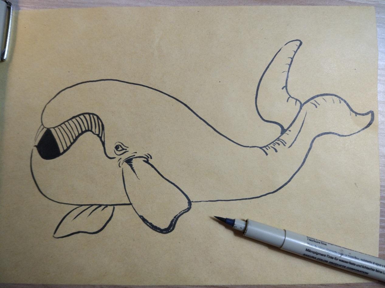 可爱的小鲸鱼彩绘画教程 简单有趣的动物彩绘画