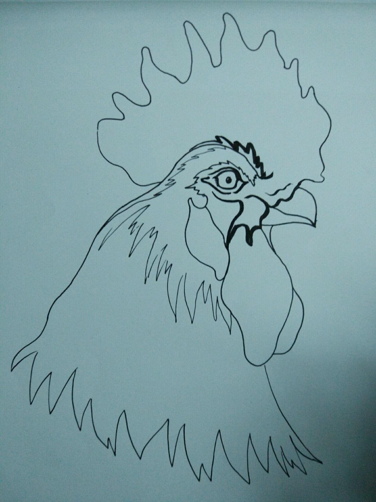 宋宋手绘教程 大公鸡的画法详细步骤图解