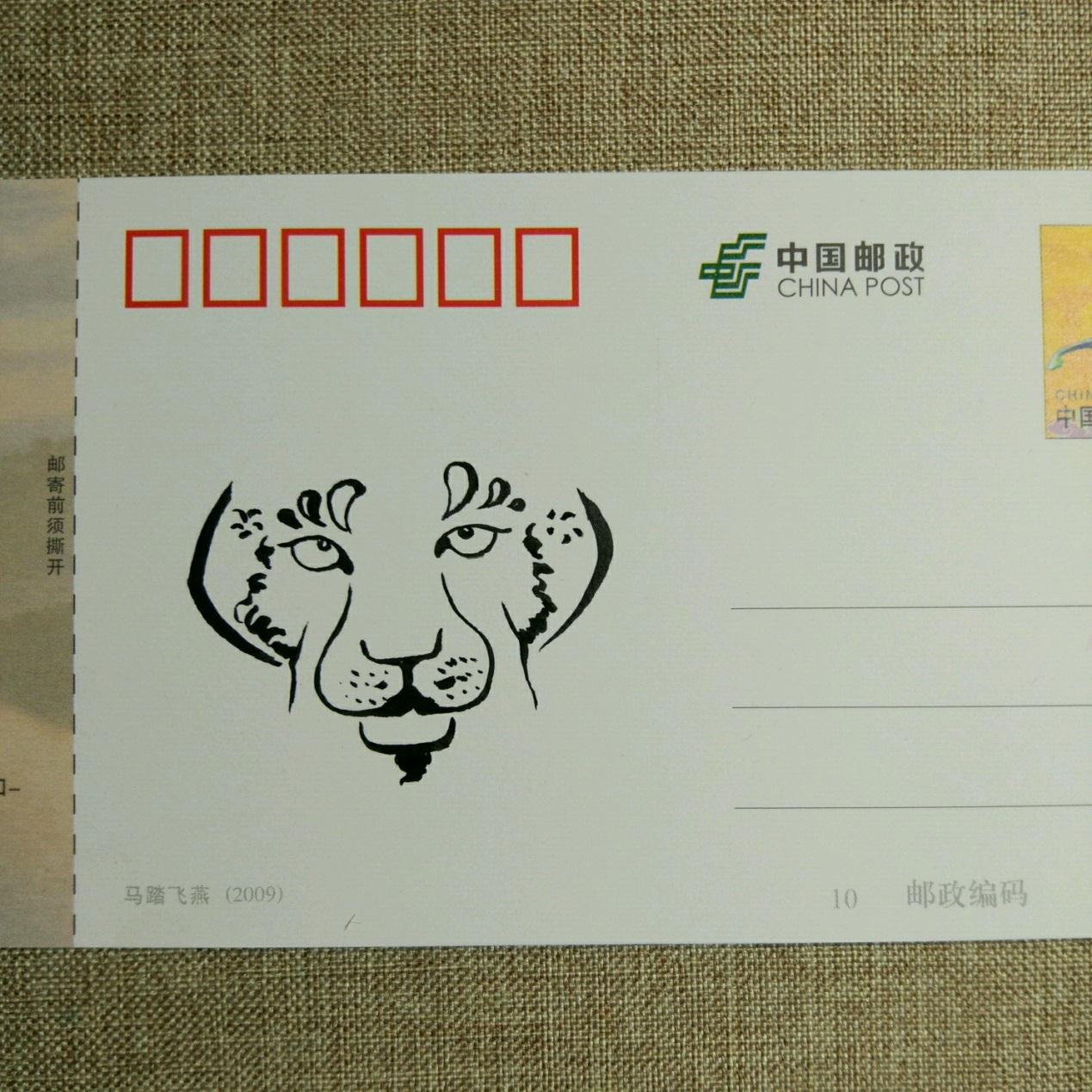 宋宋优秀的动物手绘作品 霸气的豹子明信片绘制步骤图