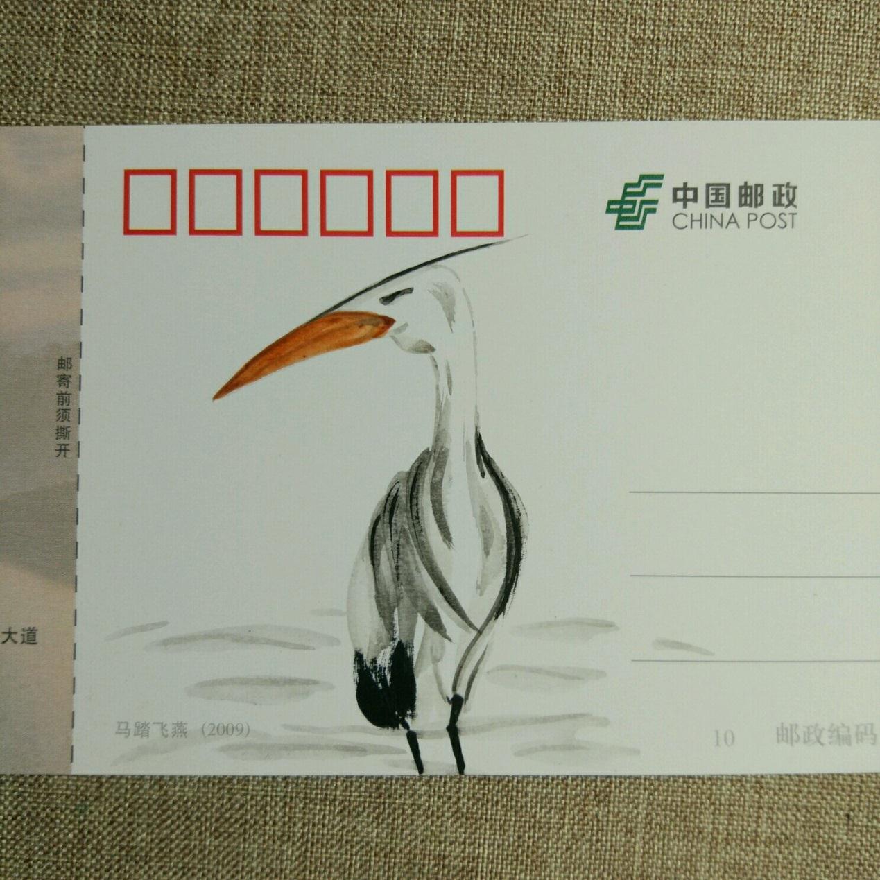 超级有创意的动物手绘明信片作品―可爱的小鸟