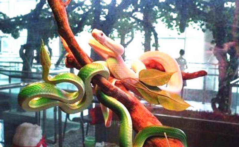 大连旅顺蛇博物馆旅游攻略-绿树蟒和缅甸蟒照片