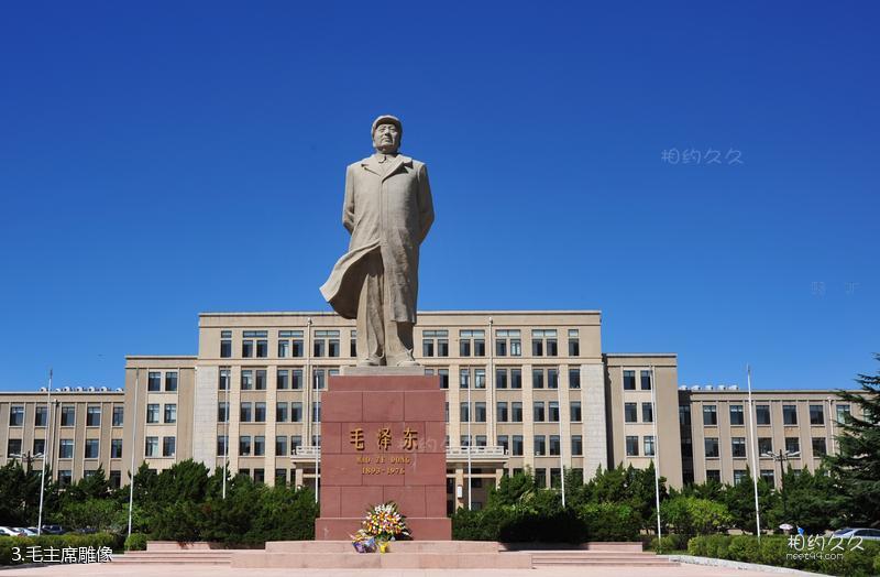 大连理工大学旅游攻略-毛主席雕像照片