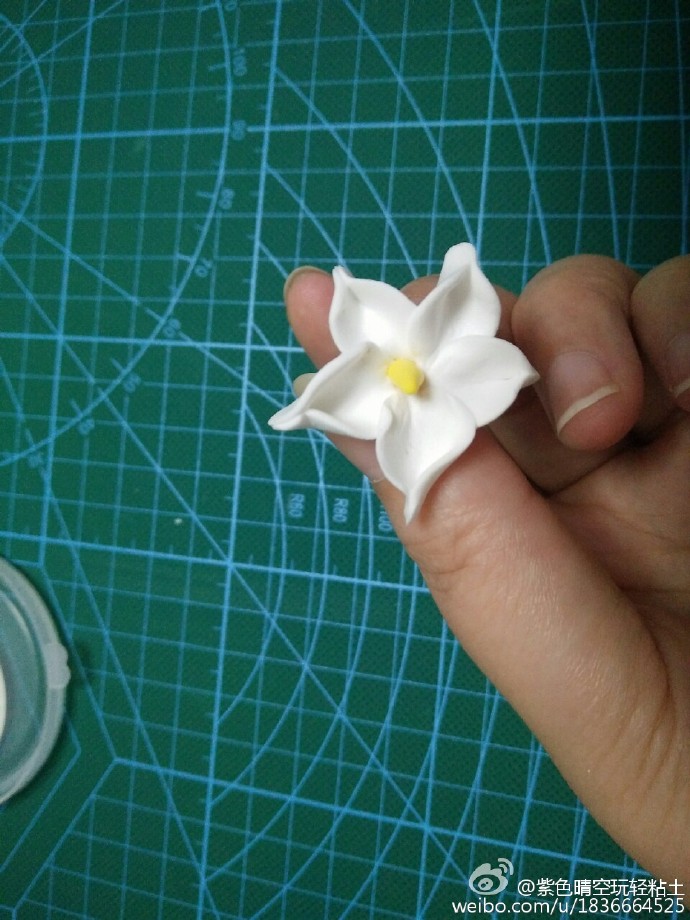 很漂亮的白色小花朵教学
