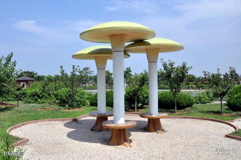 大连夏家河子海滨公园旅游攻略-蘑菇亭照片