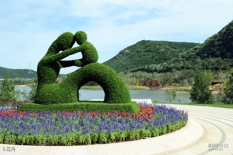 大连棠梨湖公园旅游攻略-花卉照片
