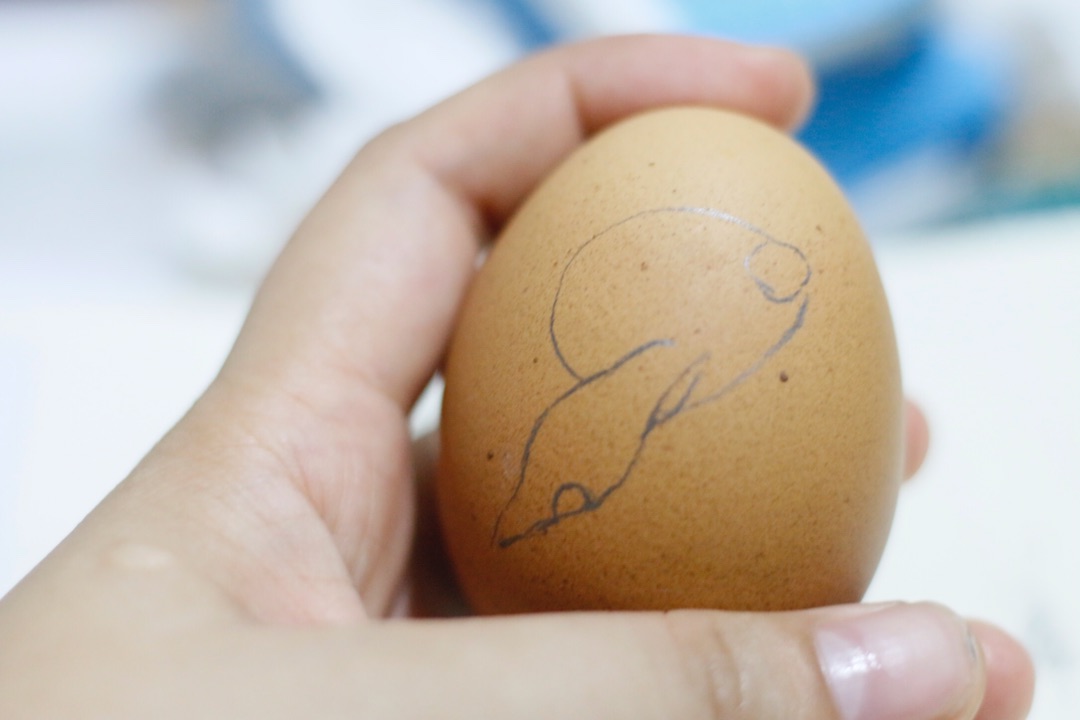 星际宝贝蛋雕 可爱的小兔子鸡蛋壳雕刻步骤图片
