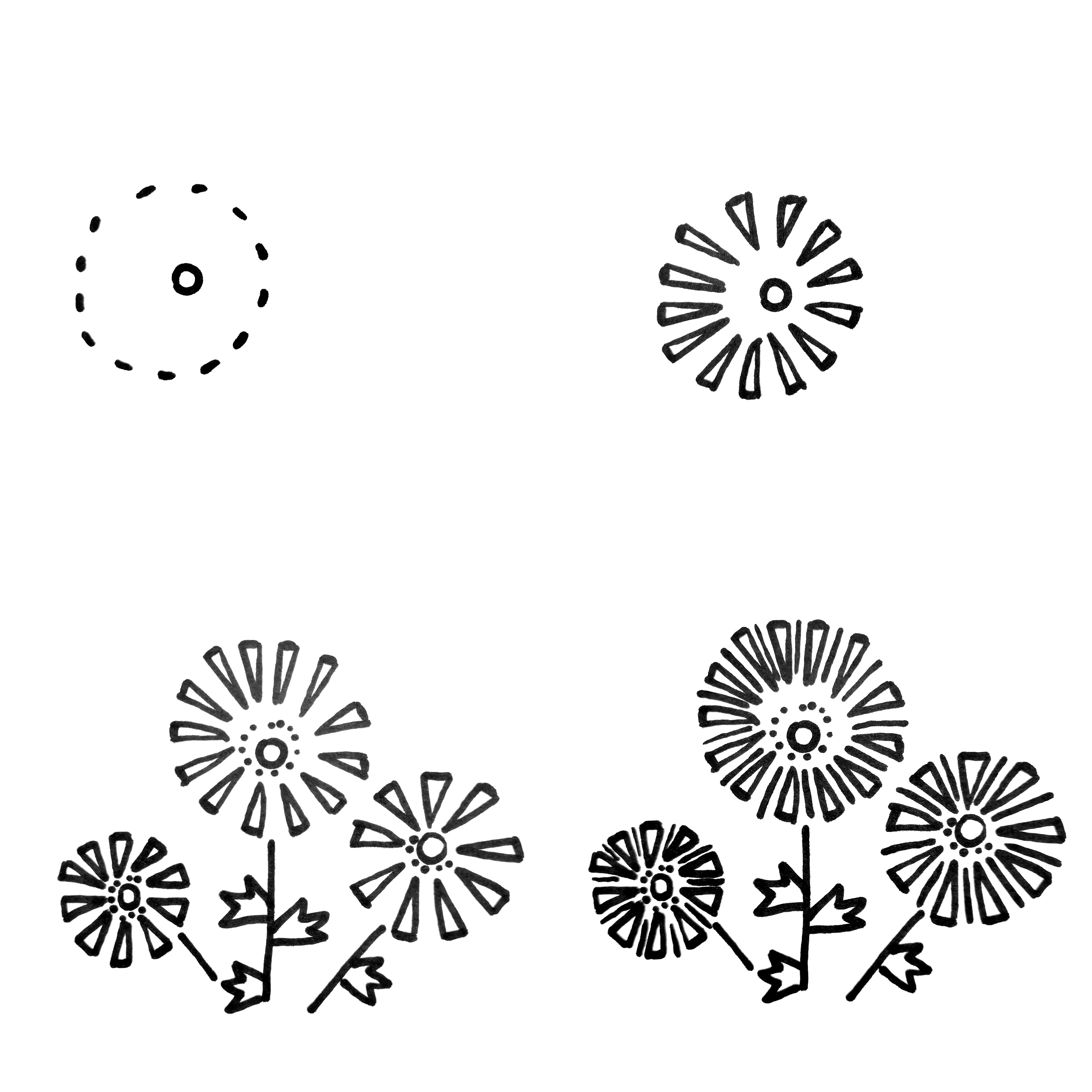 育儿简笔画植物篇：吉祥的菊花绘画步骤图解 | 采芊迷