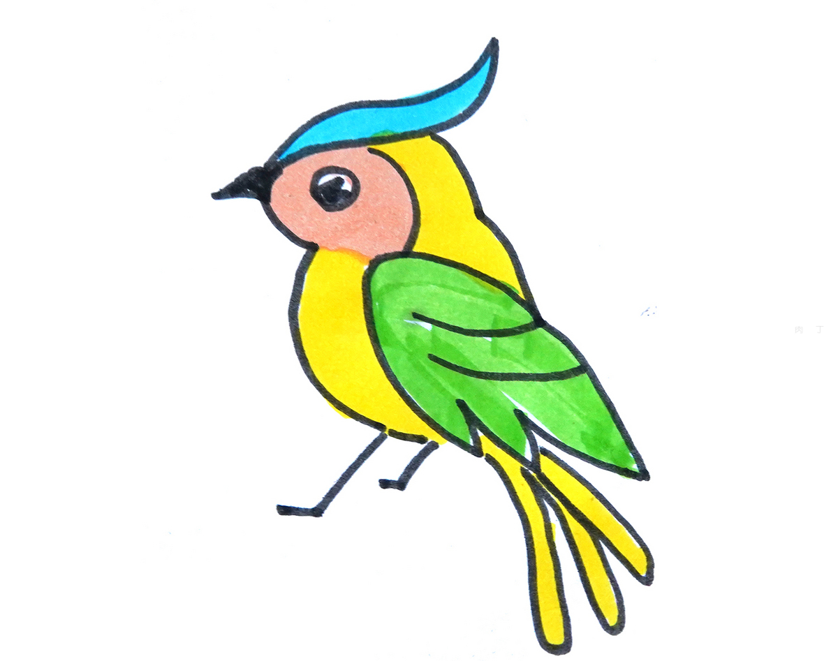 2022最新啄木鸟简笔画 啄木鸟简笔画彩色 - 第 2 - 水彩迷