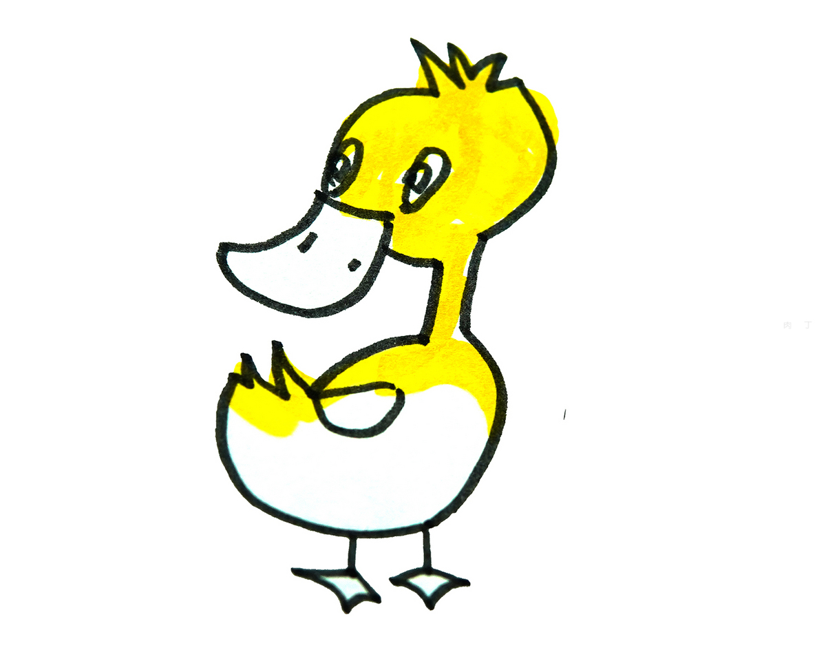 儿童手工DIY简笔画大全 卡通动物之小鸭子填色 肉丁儿童网