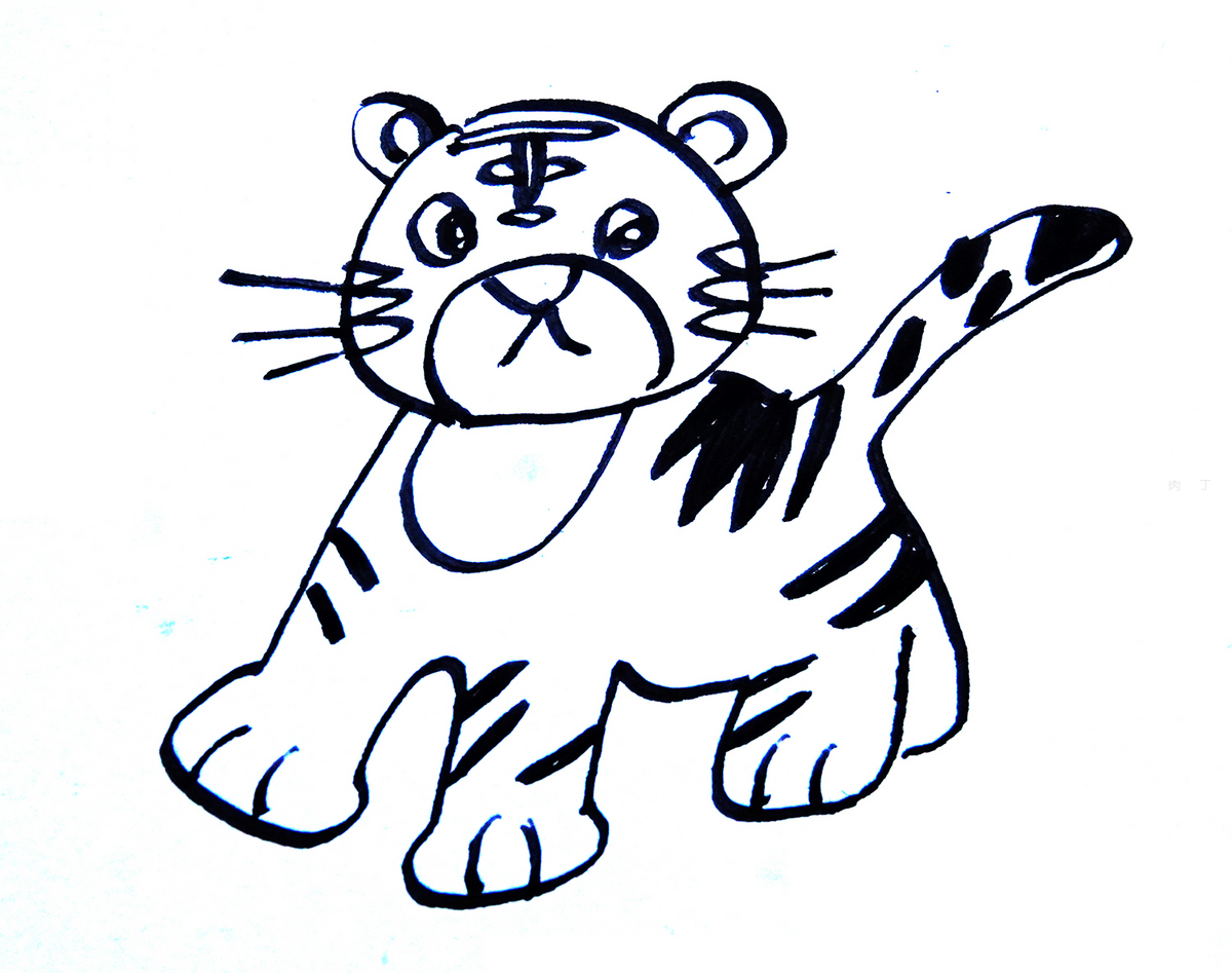 儿童简笔画画图片教程《玩耍的小老虎》 肉丁儿童网