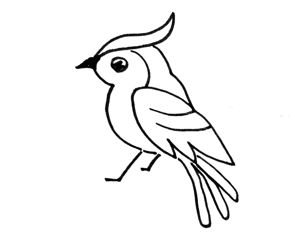 简单卡通小鸟简笔画画法图片步骤（冬奥儿童绘画） - 有点网 - 好手艺
